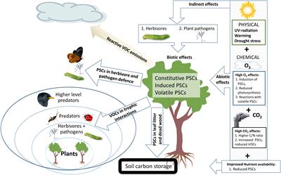 Climate Change Effects on Secondary Compounds of Forest Trees in the Northern Hemisphere